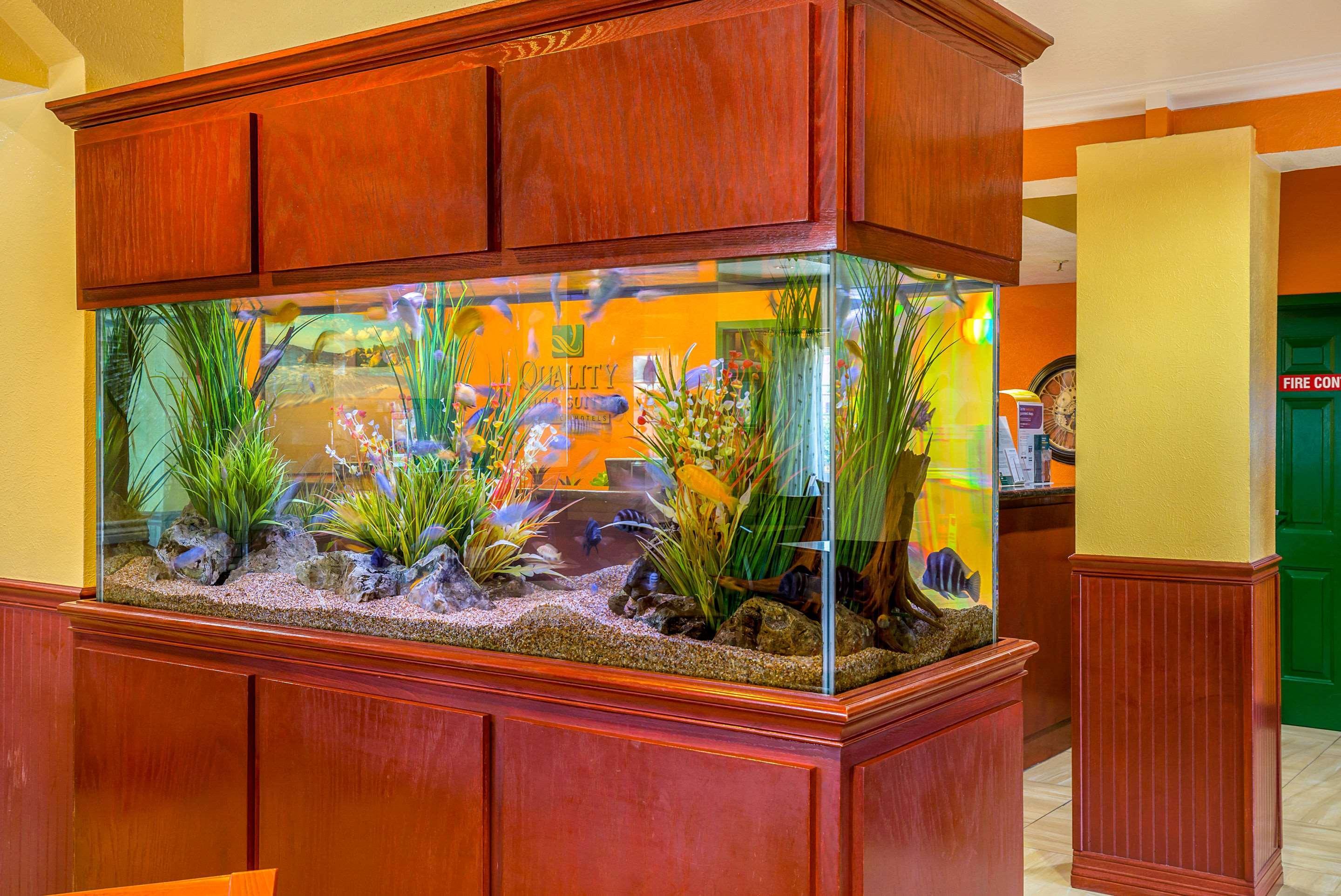 Quality Inn & Suites Galveston - Beachfront Extérieur photo